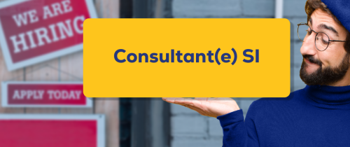 Annonce-consultant(e)-si